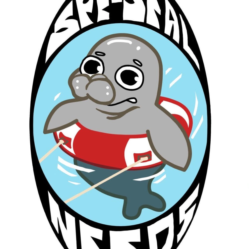 Spe-Seal Needs